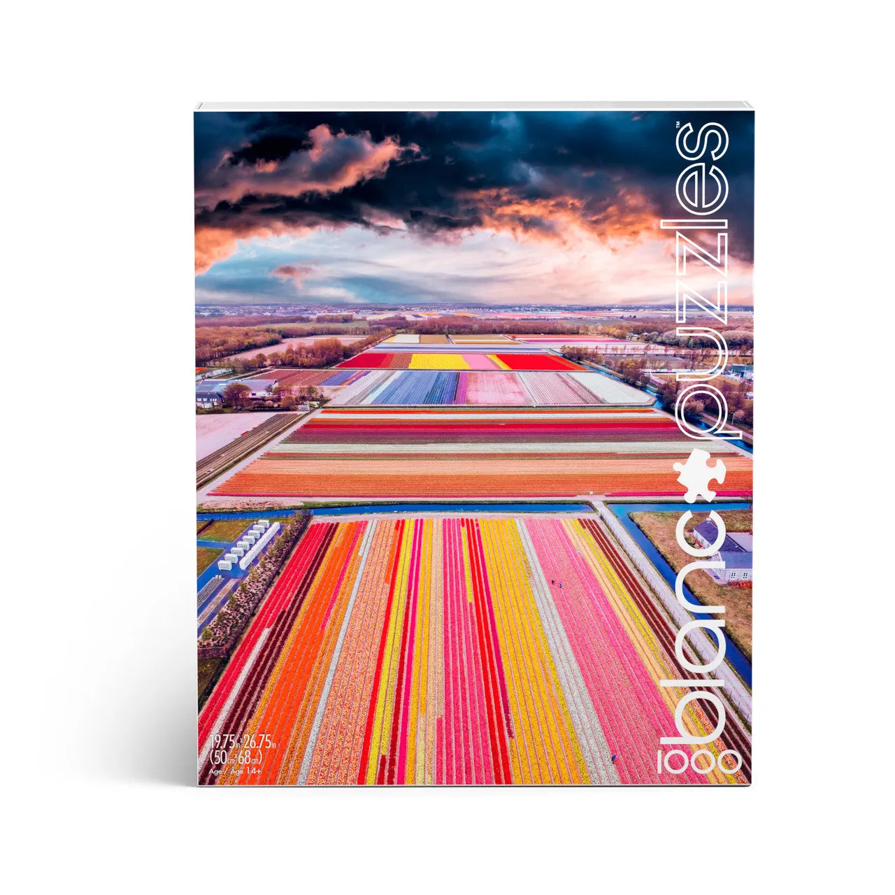Buffalo Games Blanc Infinity Fields of the Netherlands 1000 puslespil Holland