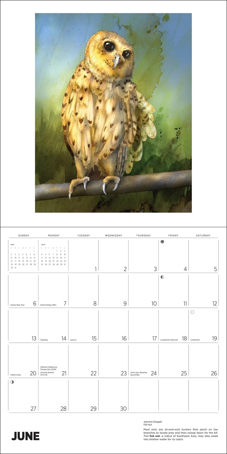 Pomegranate Owls Jeannine Chappell 2027 vægkalender ugler