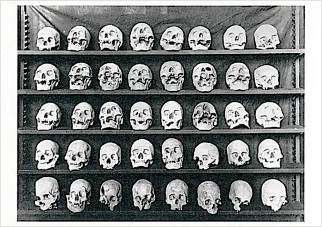 Pomegranate Dead Heads postkort humor