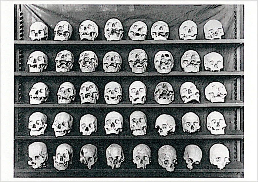 Pomegranate Dead Heads postkort humor