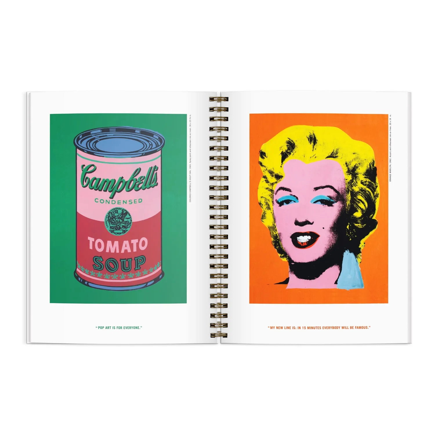 Galison Andy Warhol Inspirational skitsebog 120 sider