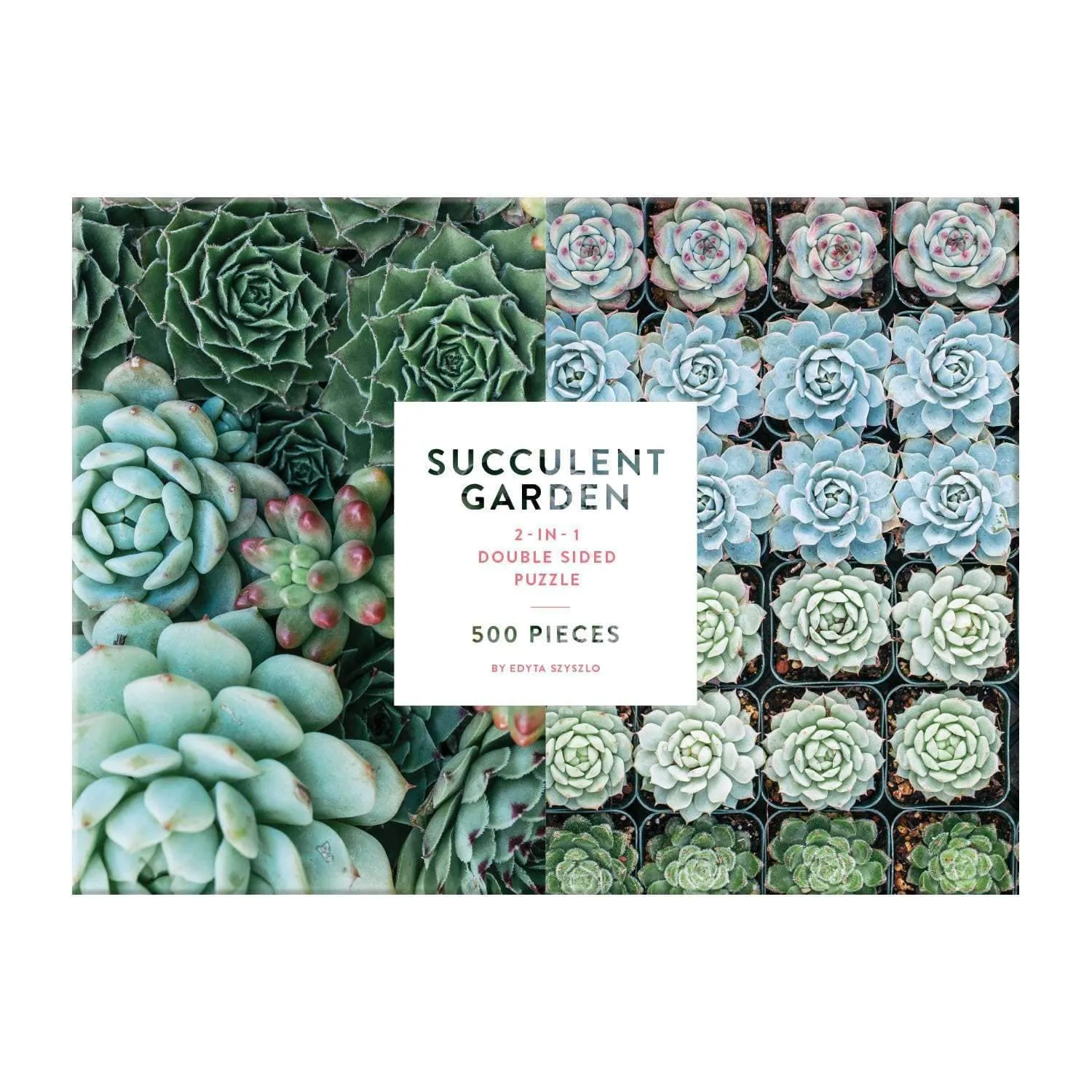 Galison Succulent Garden 500 puslespil dobbeltsidet 500 brikker