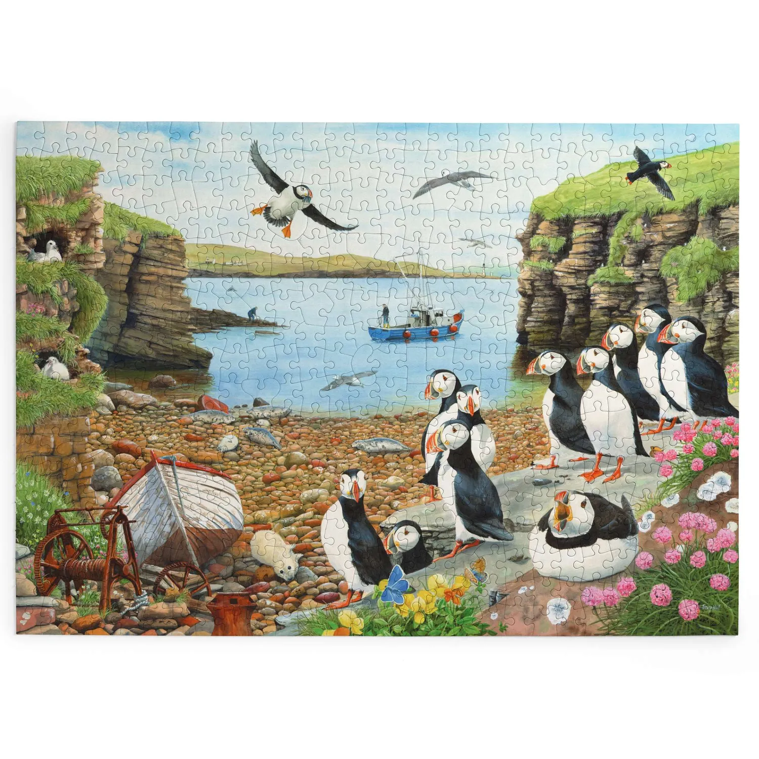 House of Puzzle BIG Puffin Parade puslespil 500 brikker kyst