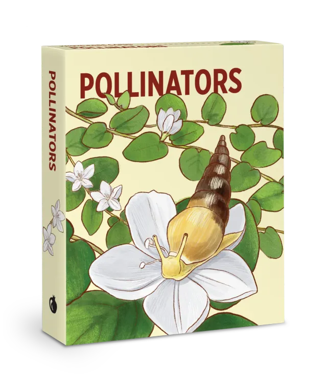 Pomegranate Pollinators Knowledge Cards lærekort 48 stk