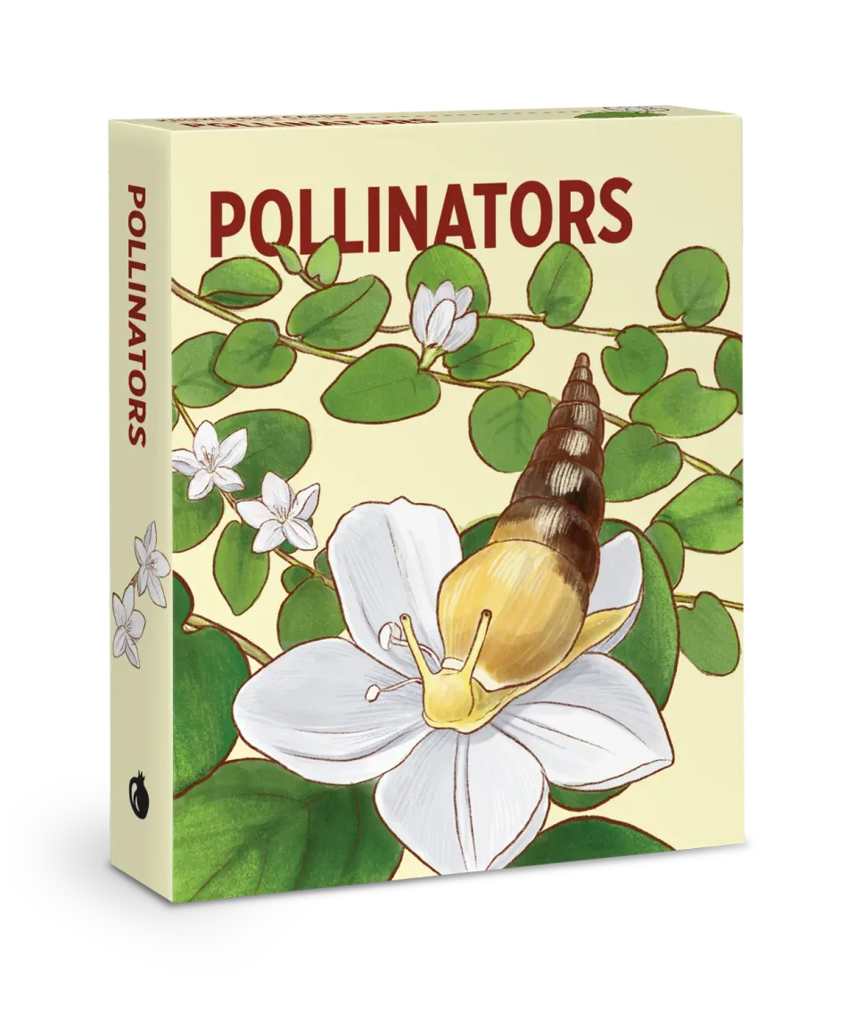 Pomegranate Pollinators Knowledge Cards lærekort 48 stk