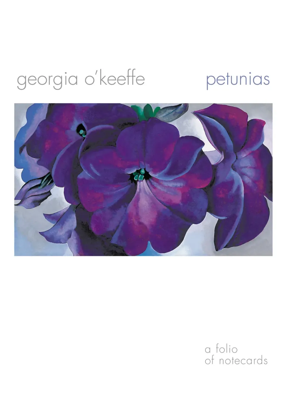 Pomegranate O'Keeffe Petunias brevkortmappe blomster