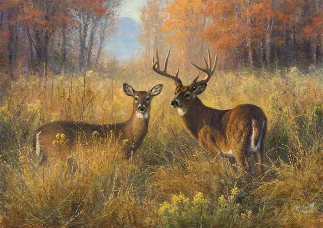 Buffalo Games Proud Pair puslespil 300 store brikker