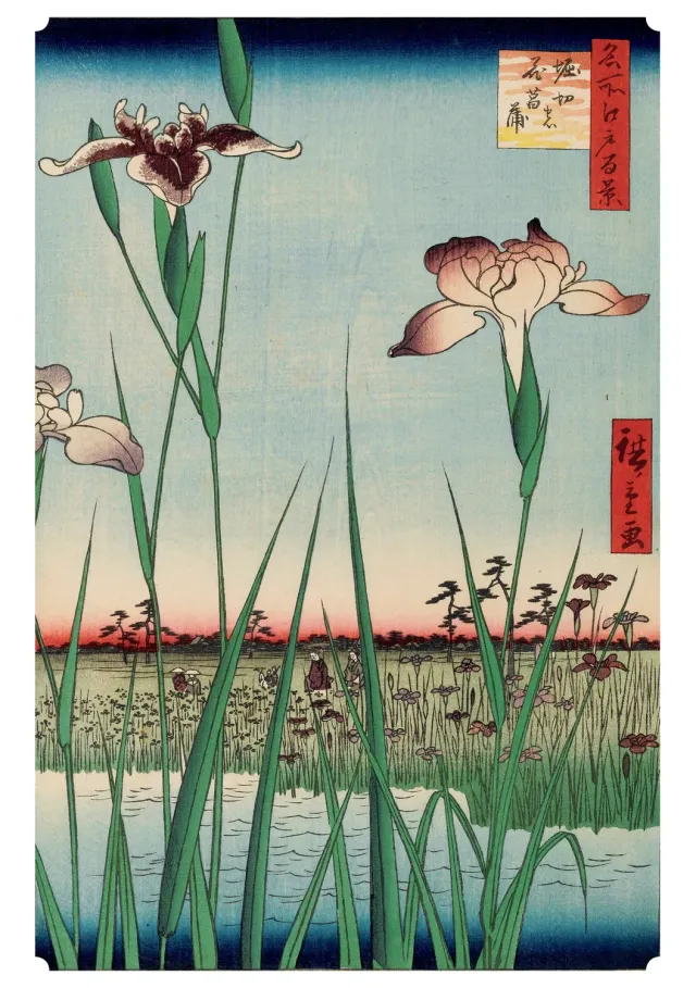 Pomegranate Hiroshige Horikiri Iris Garden fødselsdagskort