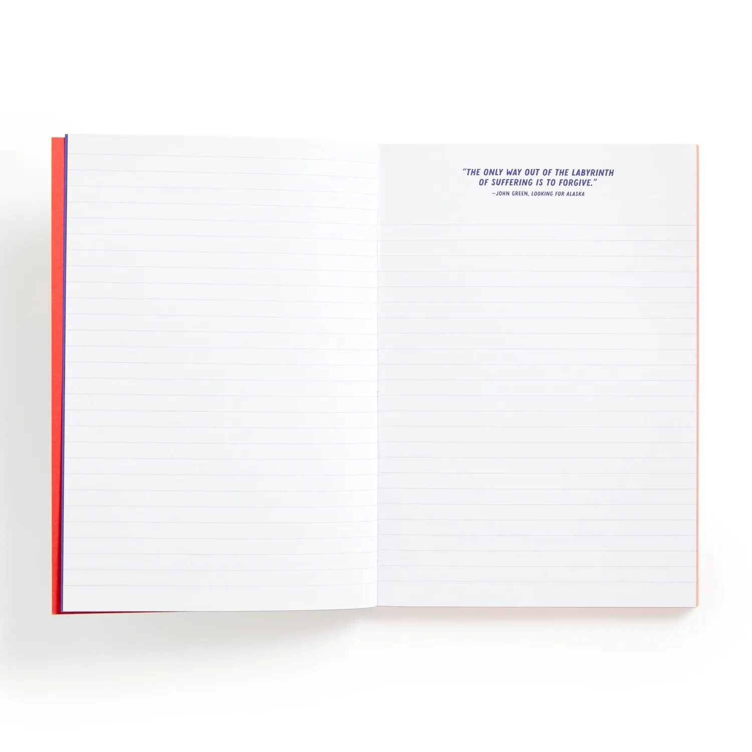 Good Puzzle Co. I Read Banned Books journal A5 linjeret