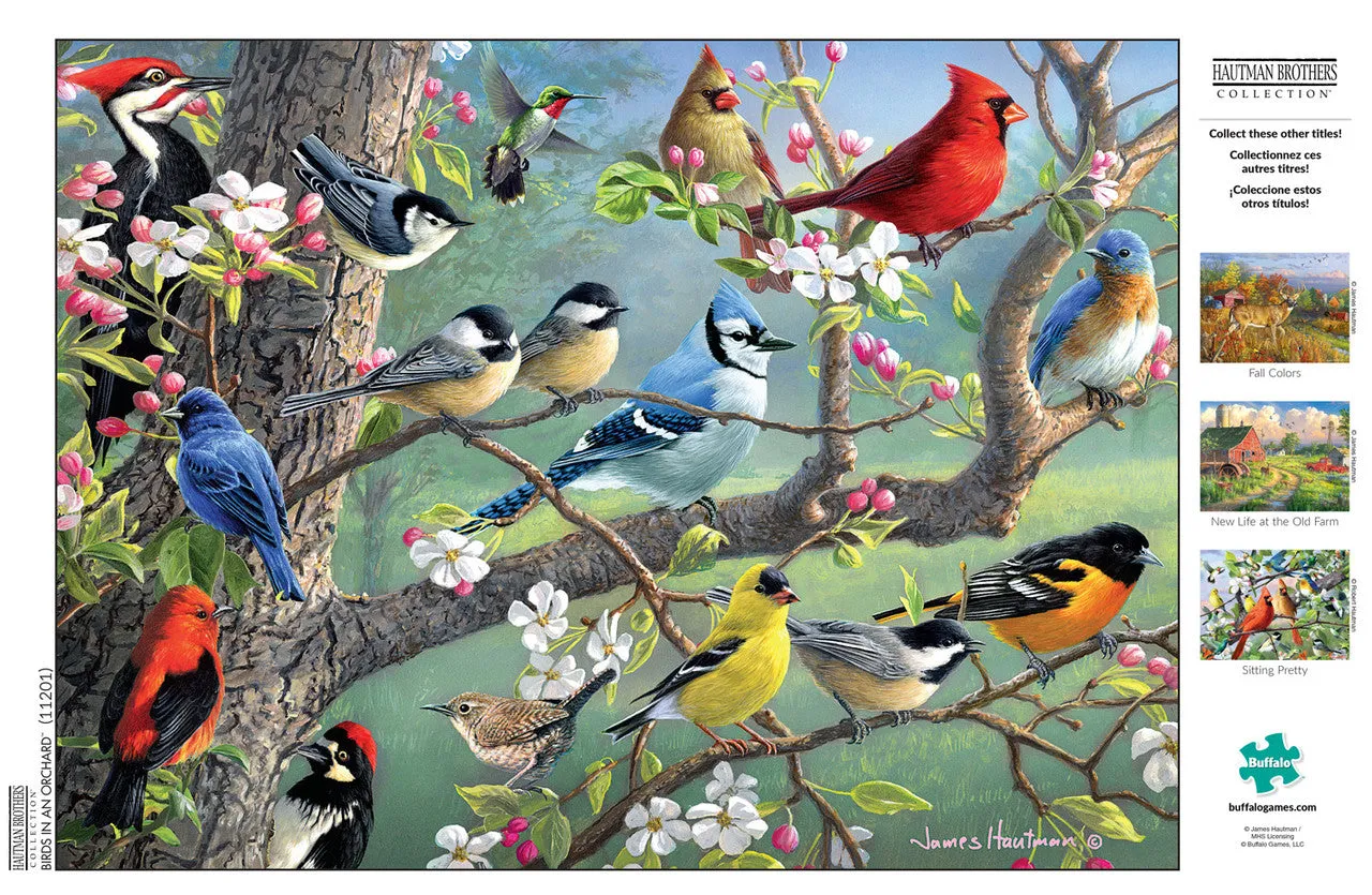 Buffalo Games Hautman Birds in an Orchard puslespil 1000 fugle