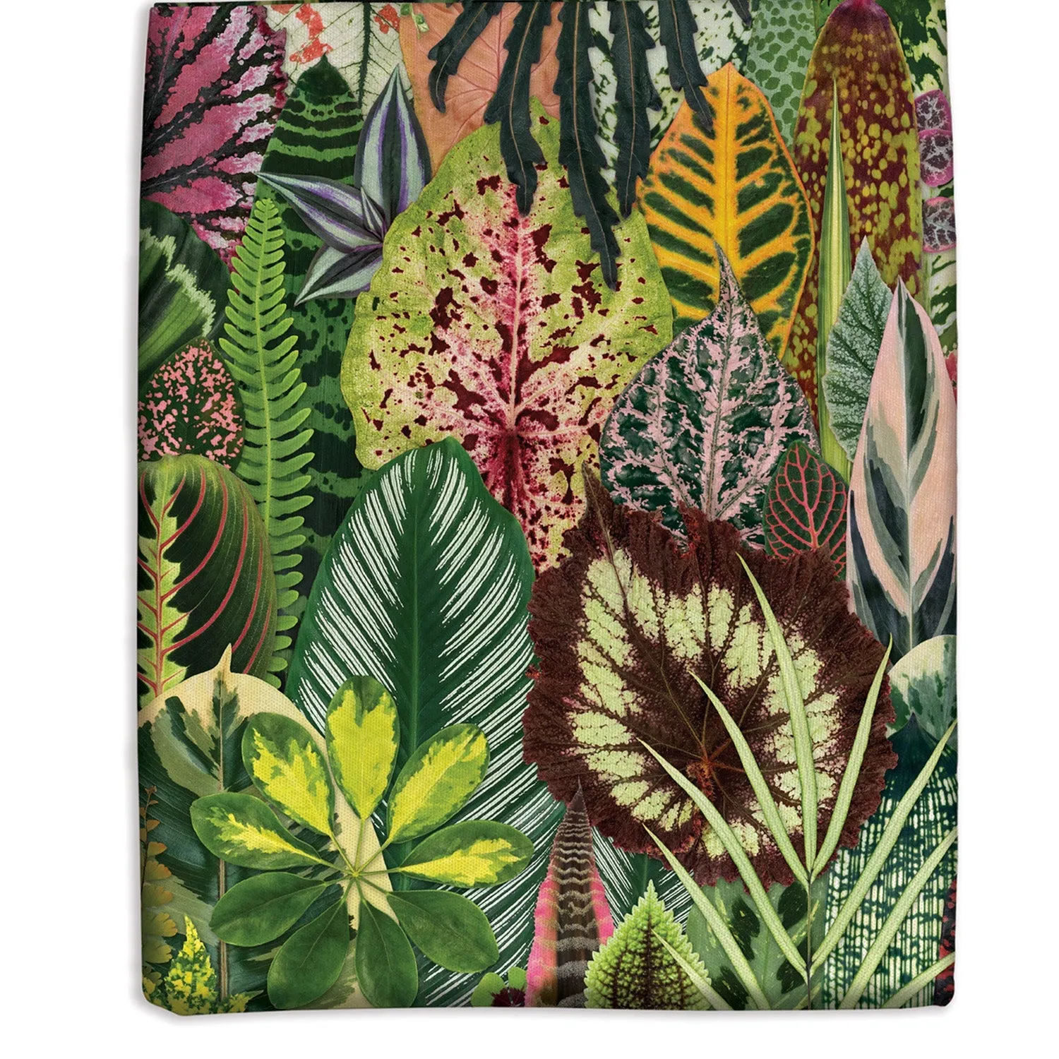 Galison Troy Litten mulepose Houseplant Jungle bomuld