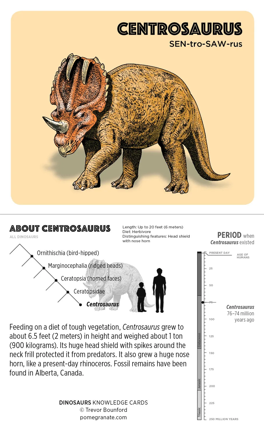 Pomegranate Dinosaurs Knowledge Cards lærekort 48 stk