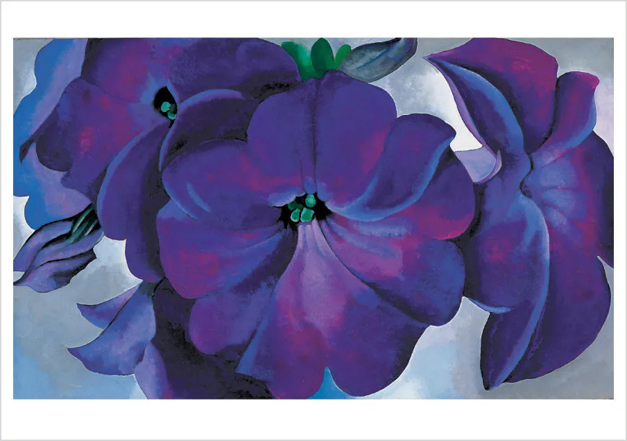 Pomegranate O'Keeffe Petunias brevkortmappe blomster