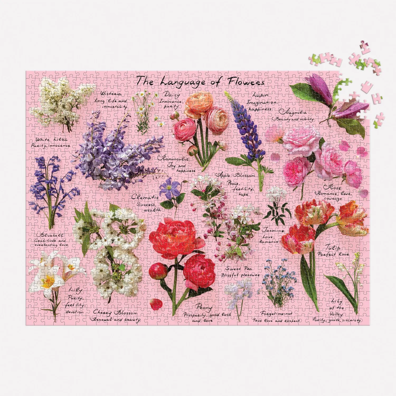 Good Puzzle Co. Language of Flowers puslespil 1000 blomster