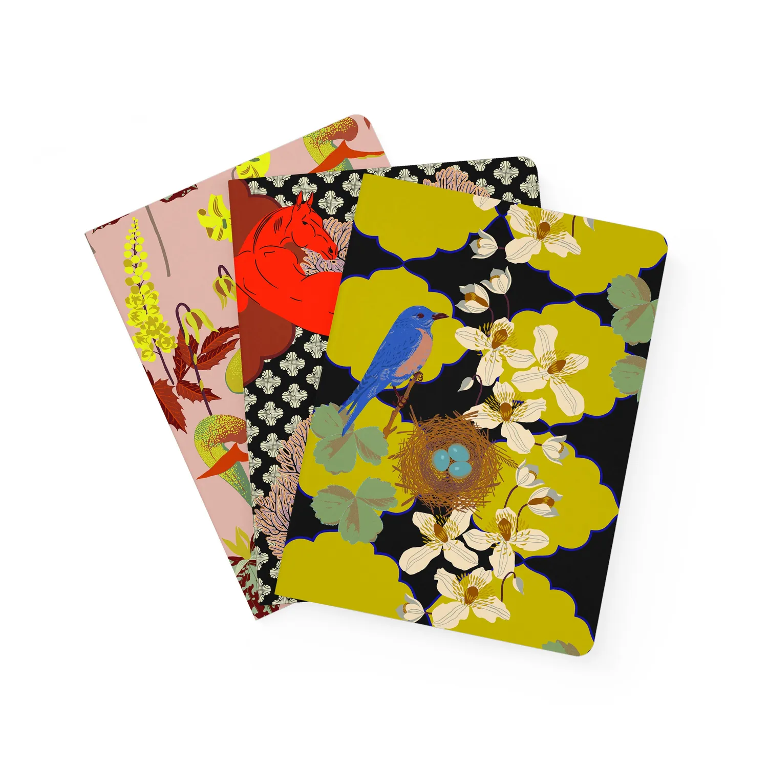 Pomegranate Kate Blairstone Large Notebook Set notesbøger