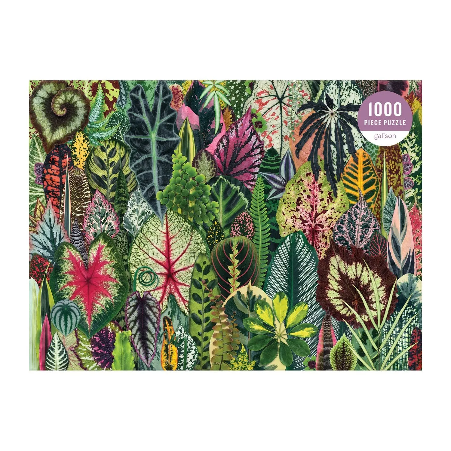 Galison Troy Litten Houseplant Jungle puslespil 1000 brikker blade
