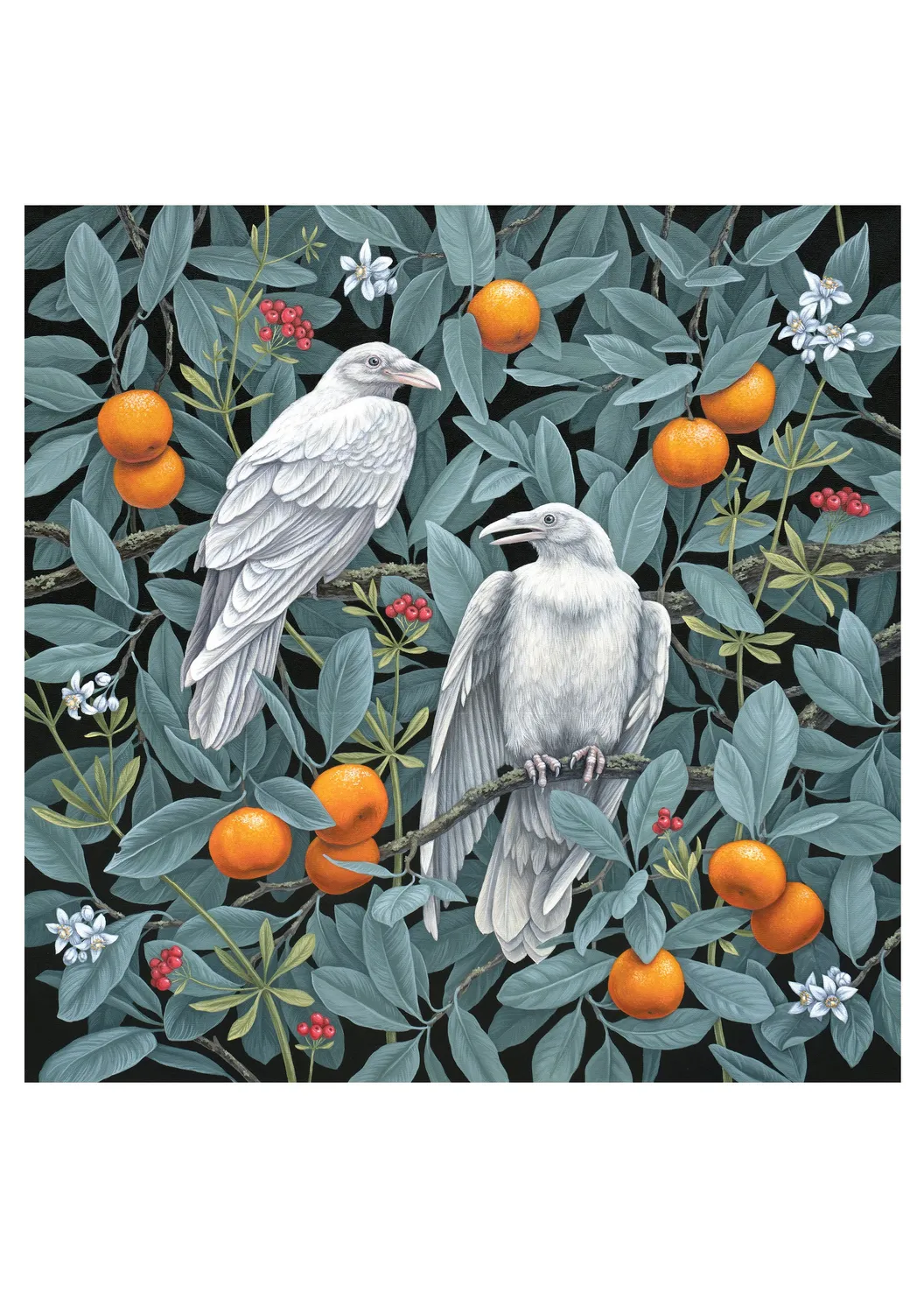 Pomegranate Vasilisa Romanenko Birds of a Feather kortæske fugle