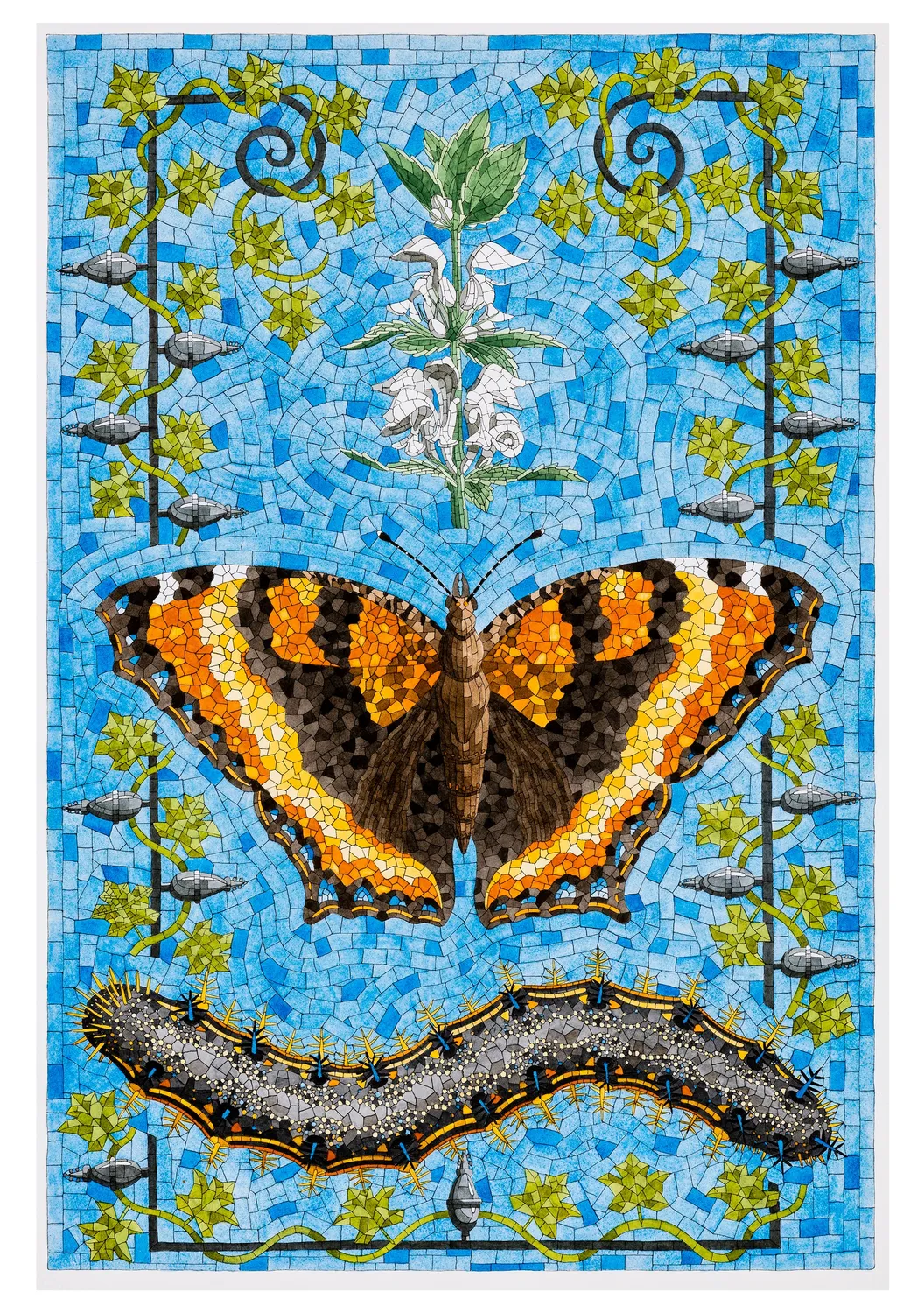 Pomegranate David Cohen Butterflies brevkortsæt sommerfugle