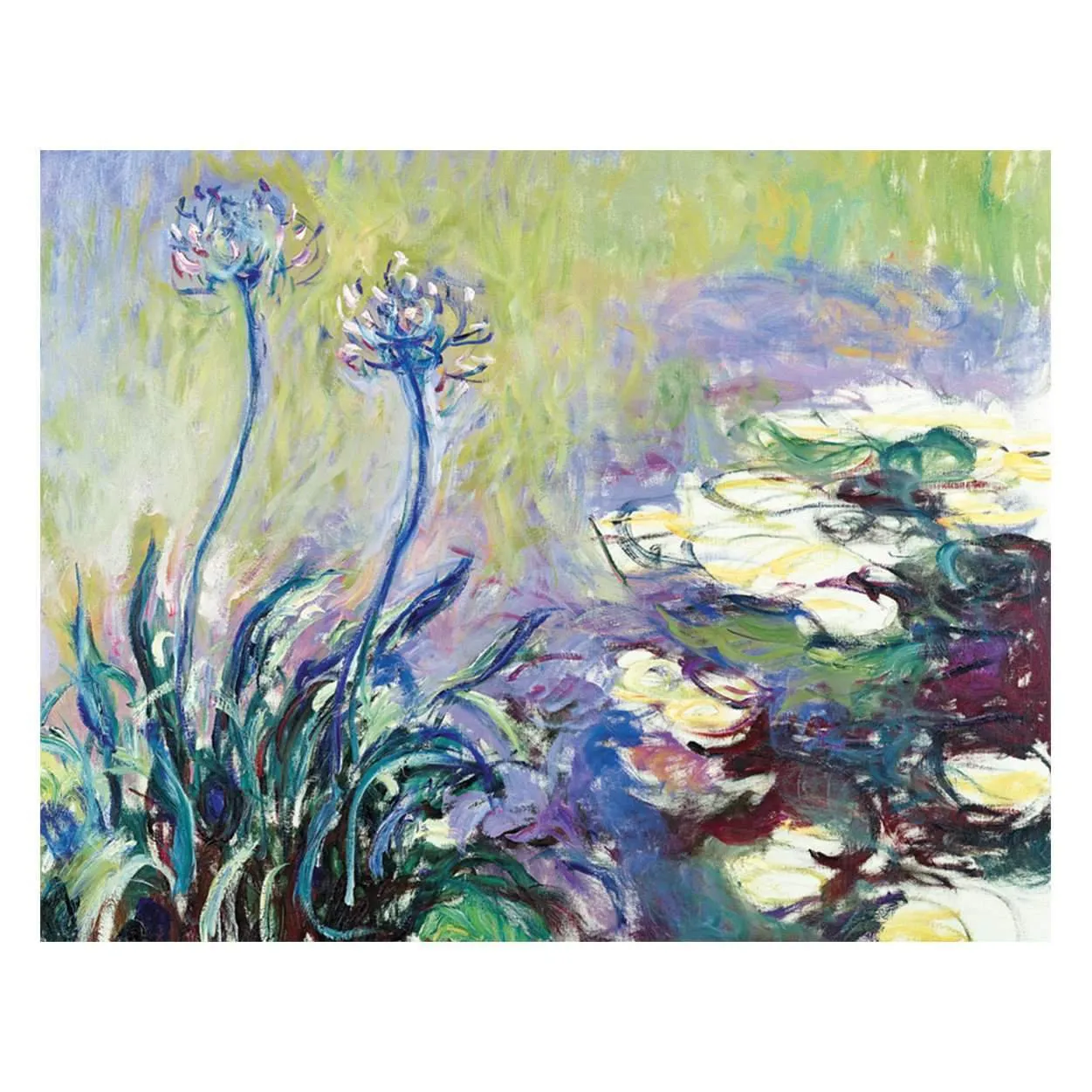 Galison Monet Waterlily Garden kortæske 16 kort åkander