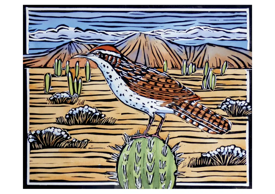 Pomegranate Molly Hashimoto Cactus Wren kort fugl