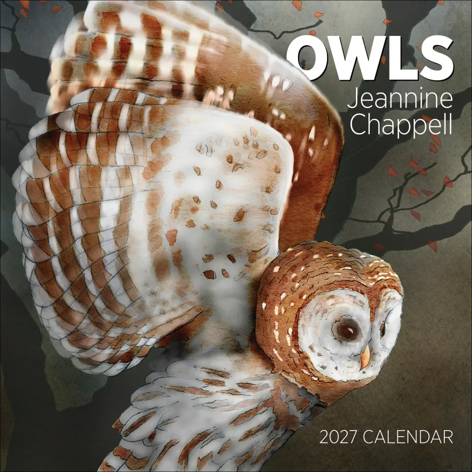Pomegranate Owls Jeannine Chappell 2027 vægkalender ugler