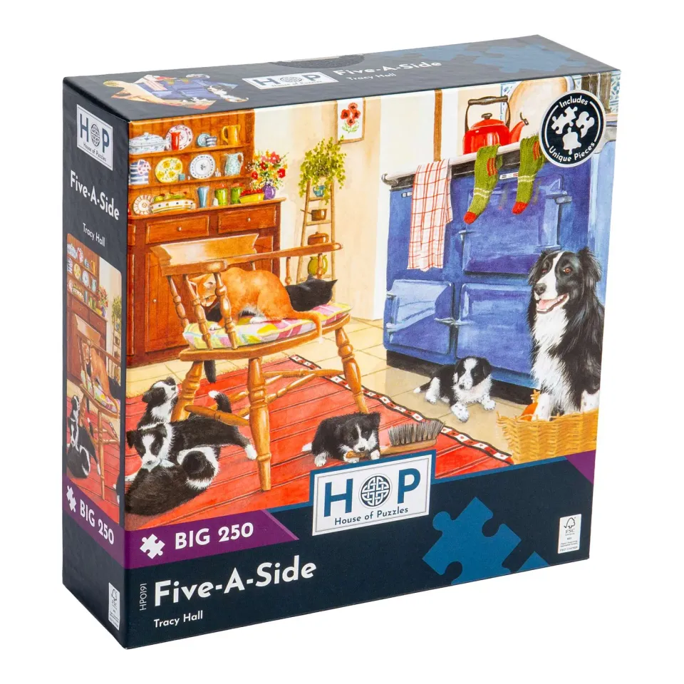 House of Puzzles BIG Five-A-Side puslespil 250 brikker XL