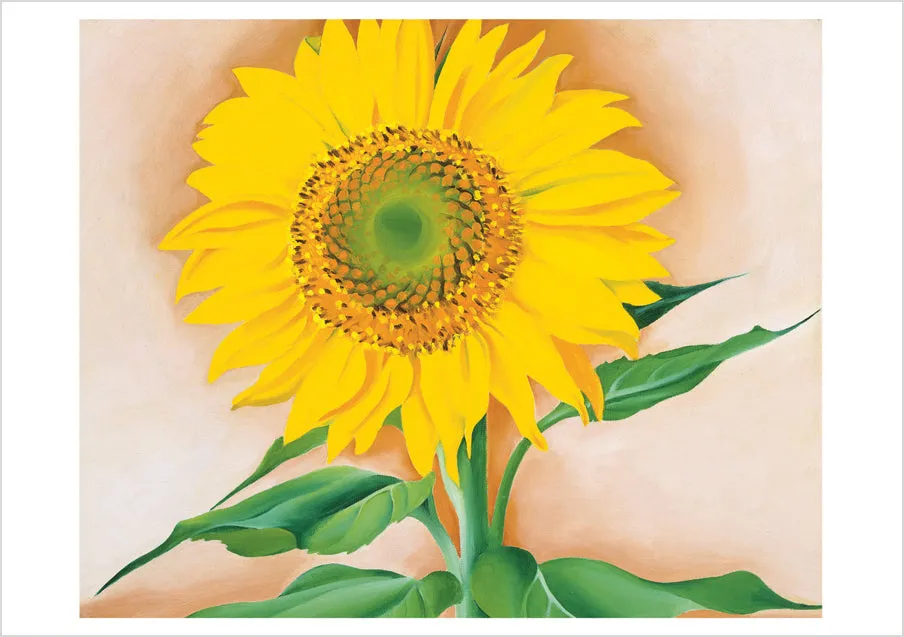 Pomegranate Georgia O'Keeffe Sunflowers kortmappe 10 stk