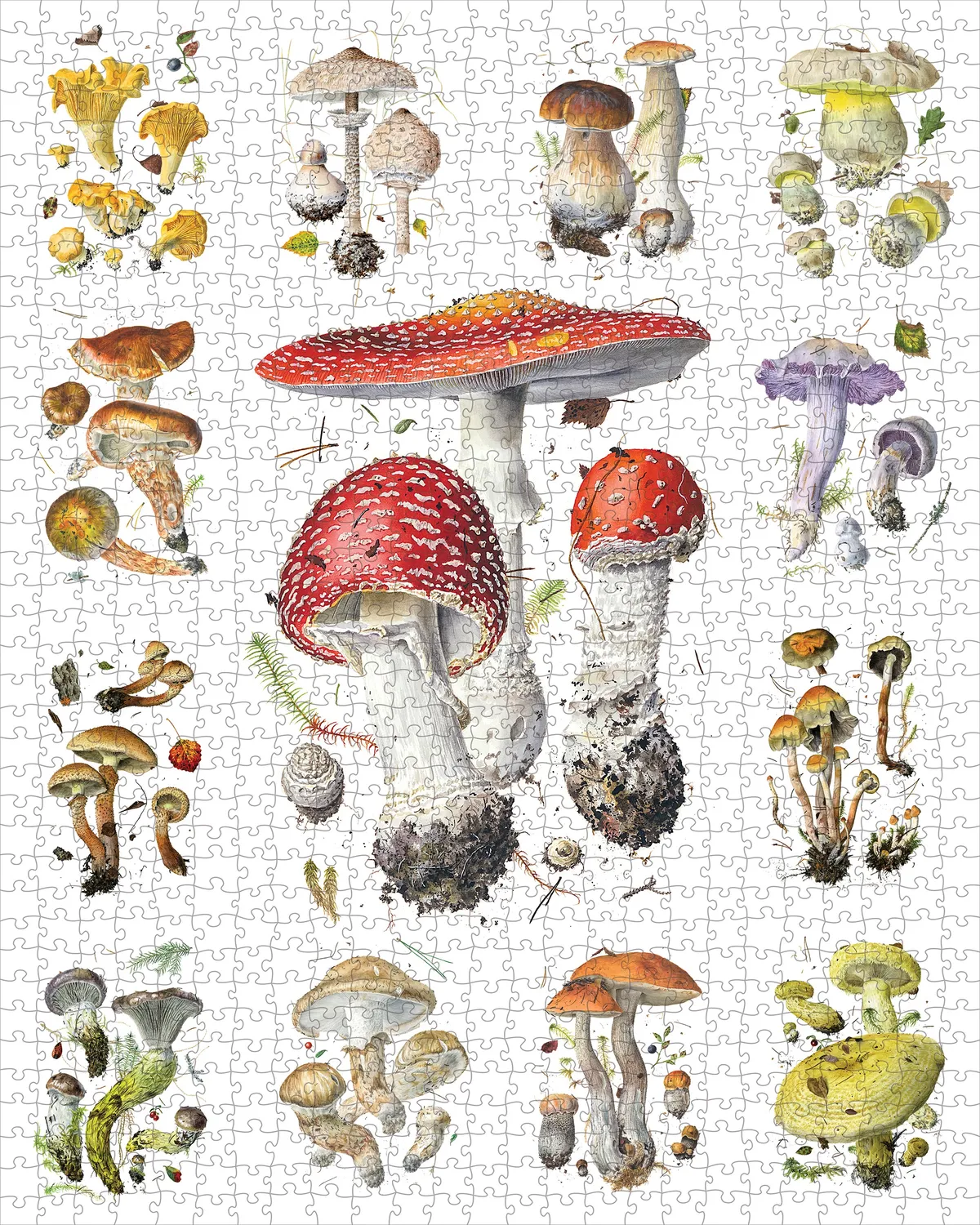 Pomegranate Mushrooms Viazmensky puslespil 1000 brikker svampe