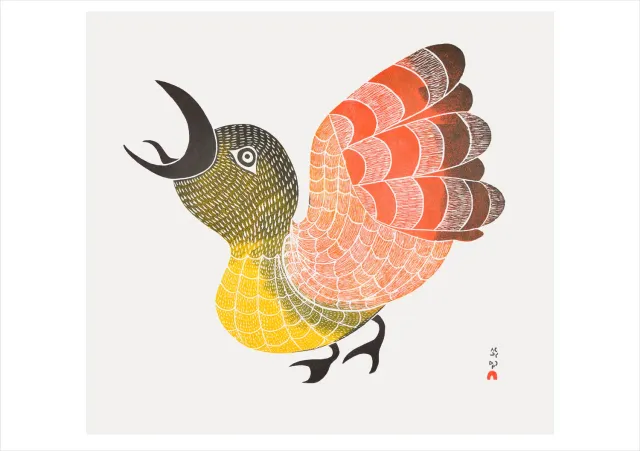 Pomegranate Pitaloosie Saila Bird of Sargo kort enkelt