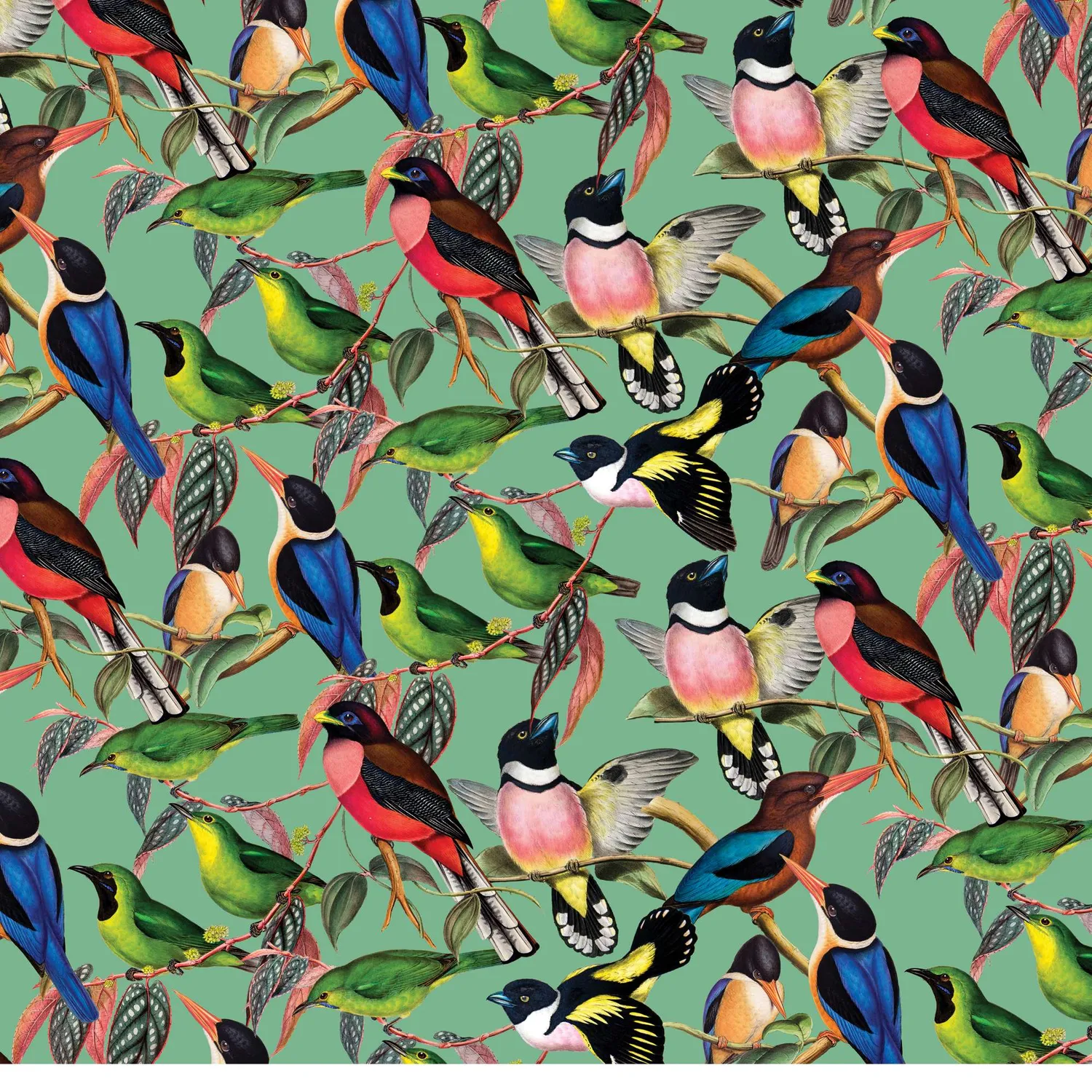 House of Puzzle ZSL Brilliant Birds puslespil 1000 brikker fugle