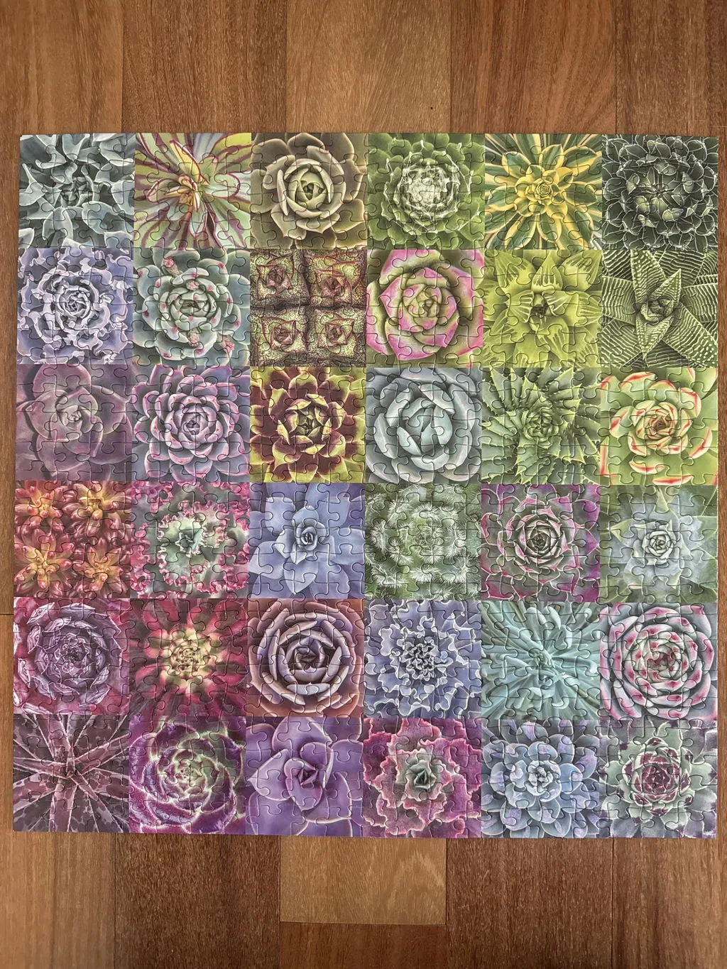 Galison Litten Succulent Spectrum 500 puslespil 500 brikker farver