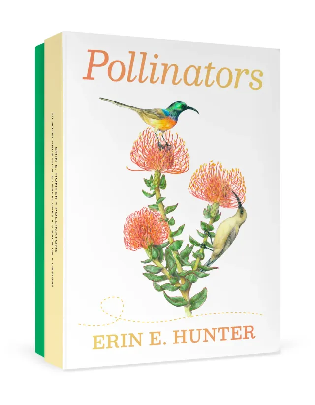 Pomegranate Erin E Hunter Pollinators kortæske 20 stk blomster