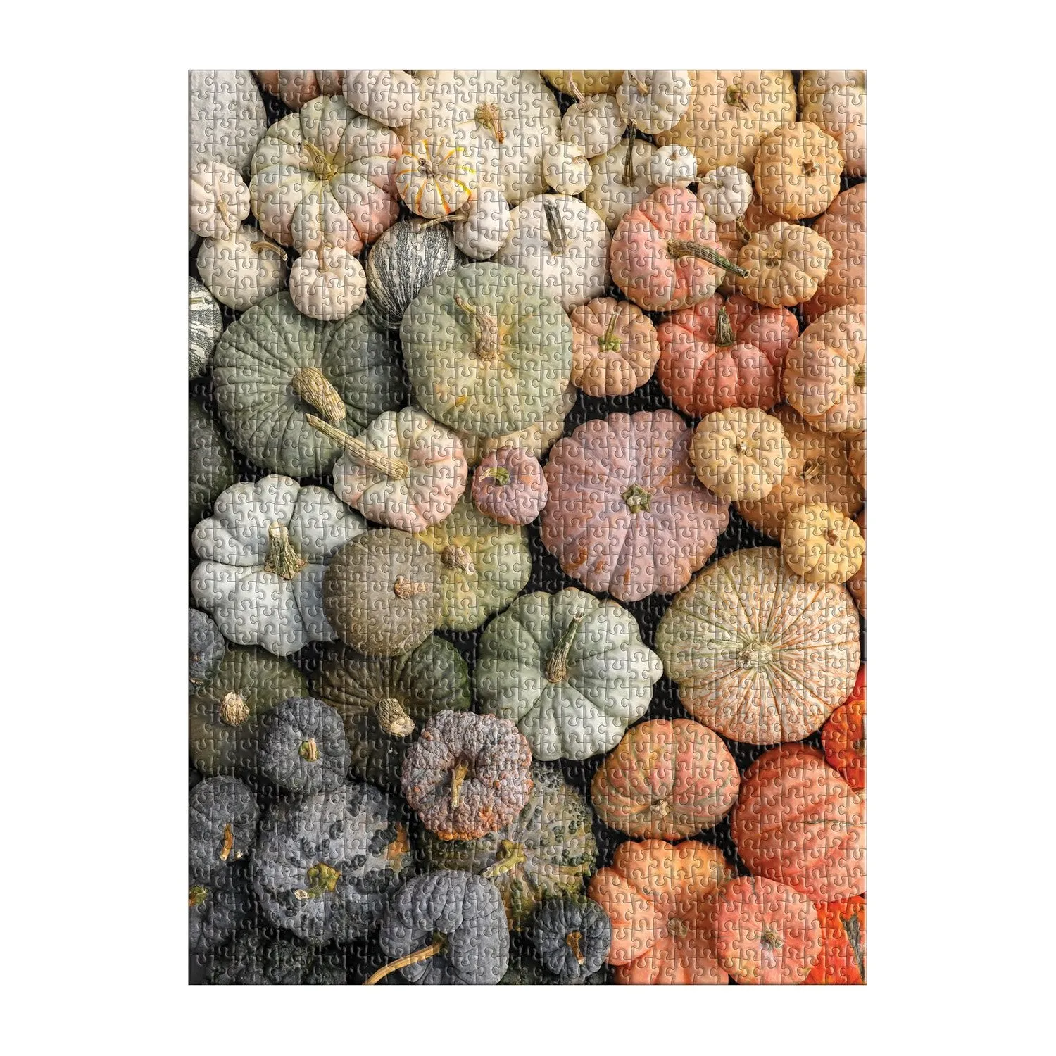 Galison Heirloom Pumpkins puslespil 1000 brikker efterår