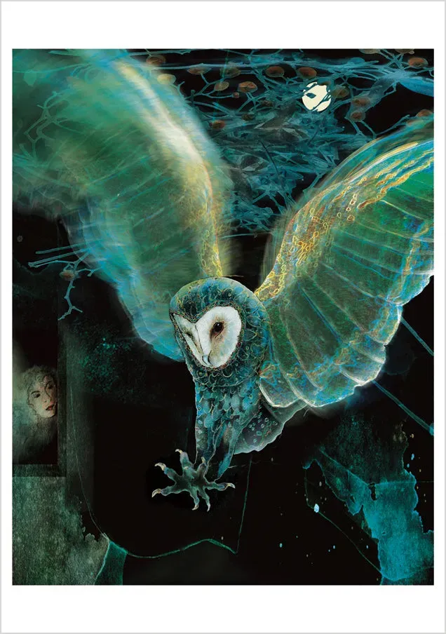 Pomegranate Jeannine Chappell Barn Owl 3 noteskort ugle