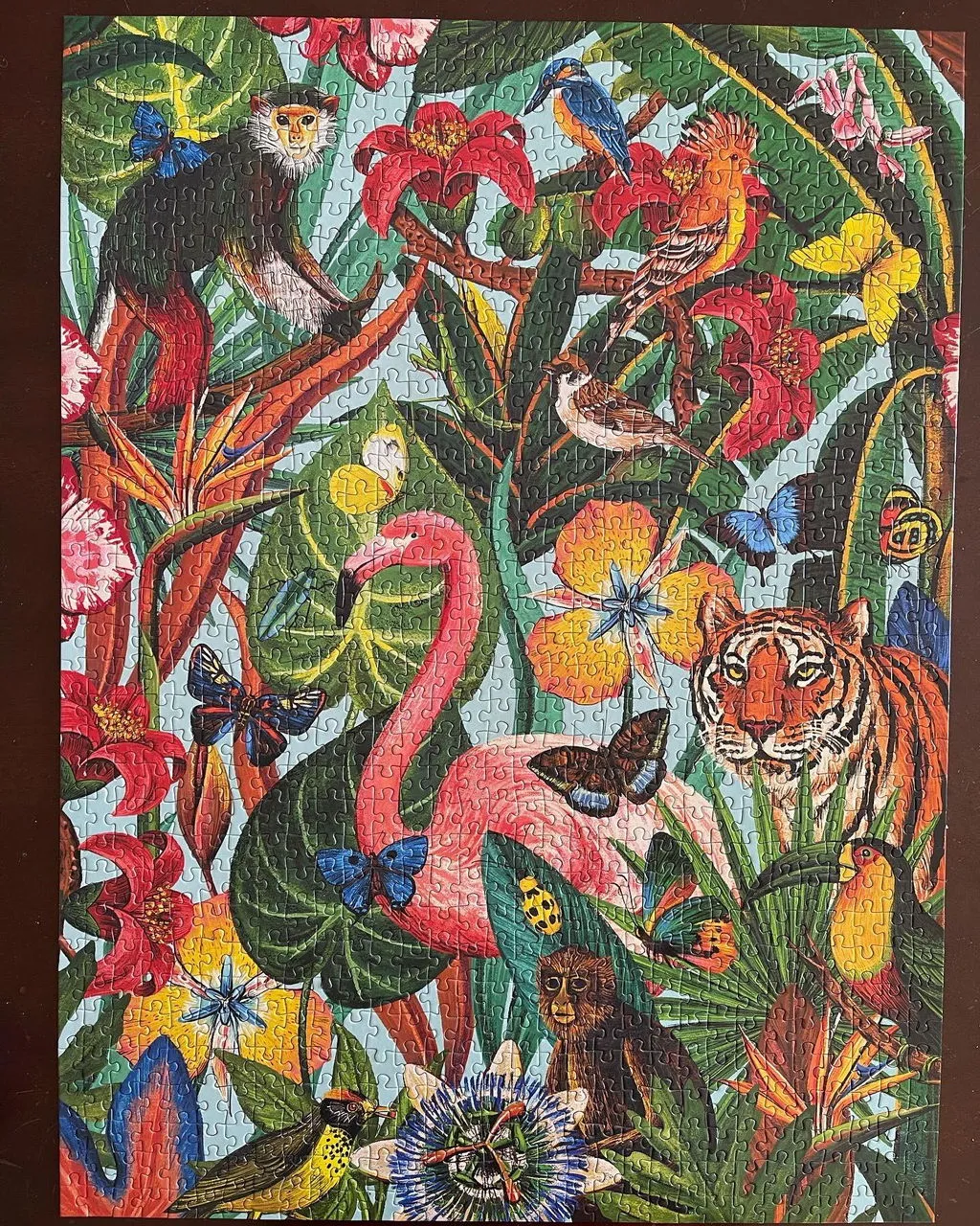 Galison Wild Tropics surprise puslespil 1000 brikker jungle
