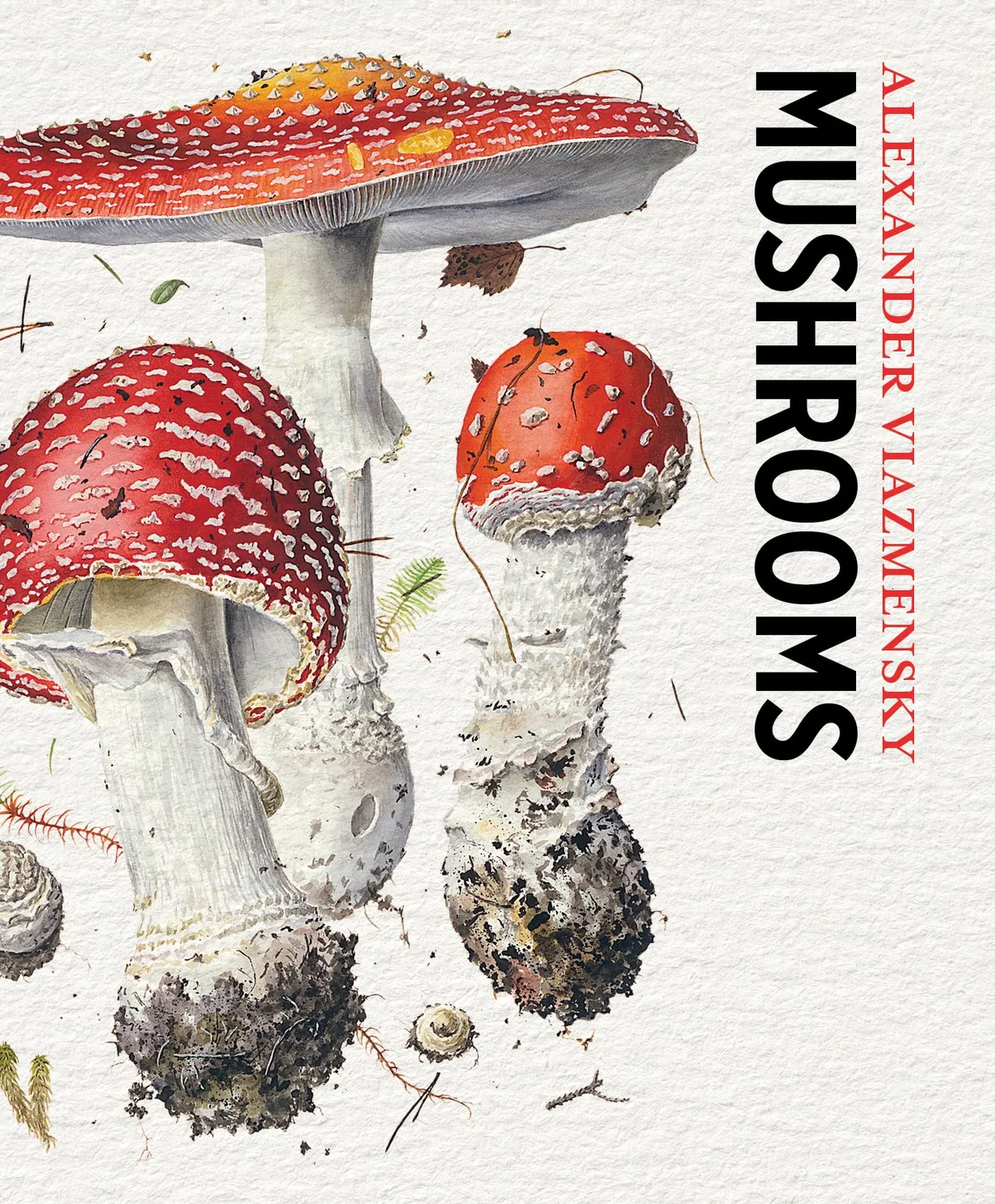 Pomegranate Viazmensky Mushrooms videnskort 48 stk