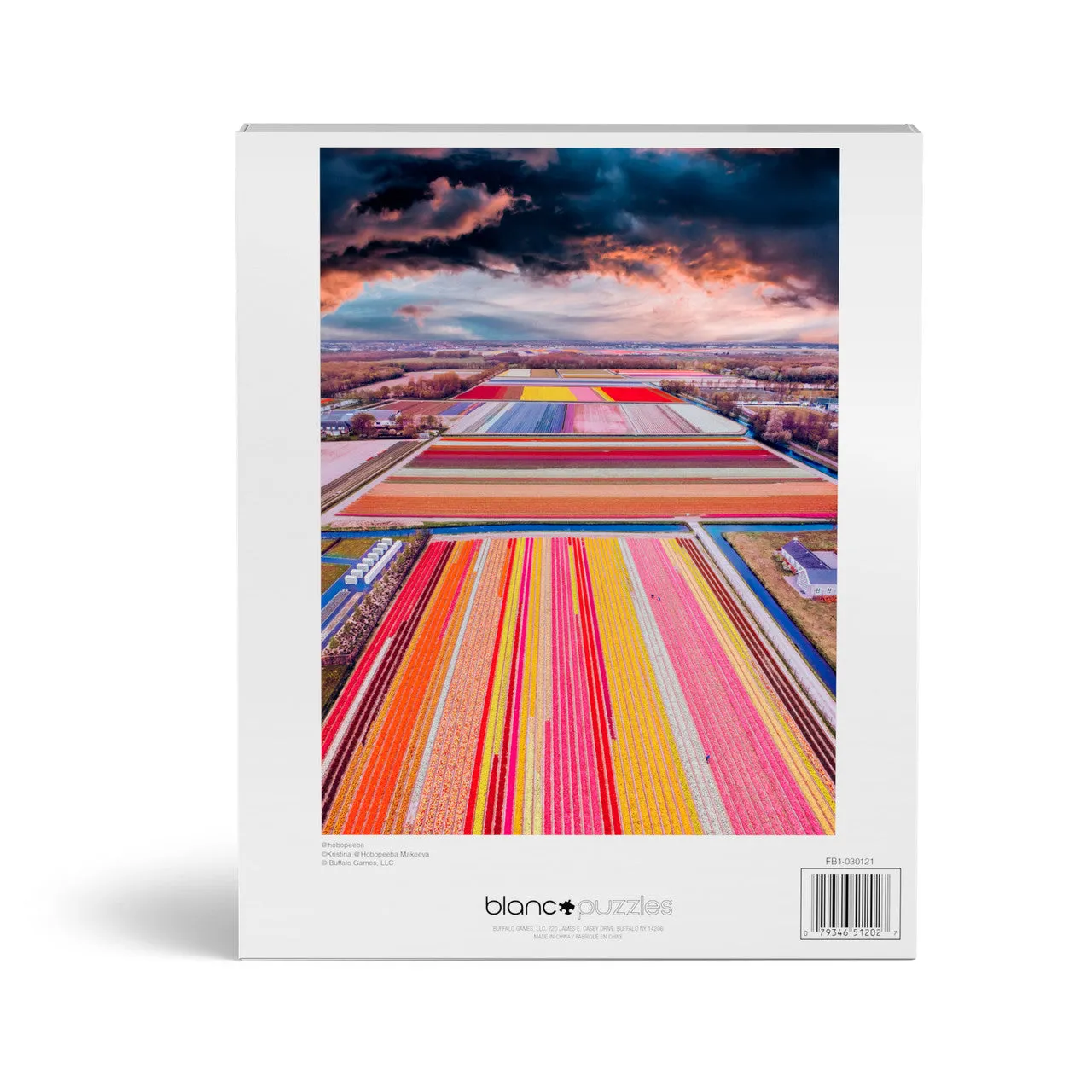 Buffalo Games Blanc Infinity Fields of the Netherlands 1000 puslespil Holland
