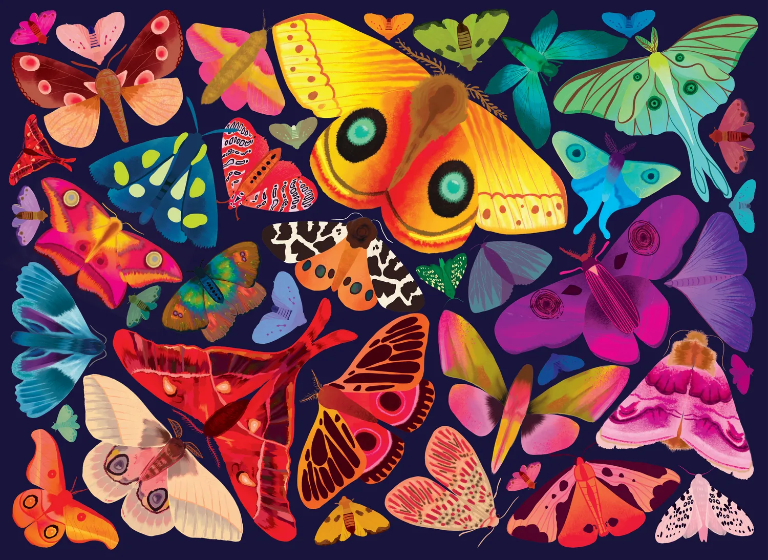 Elena Essex Midnight Moths puslespil 1000 brikker natmotiv