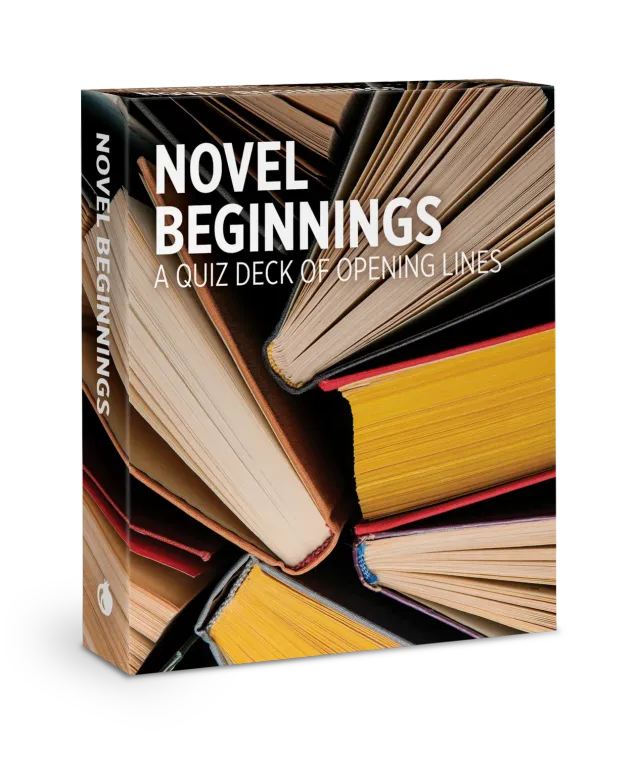 Pomegranate Novel Beginnings quizkort 48 kort