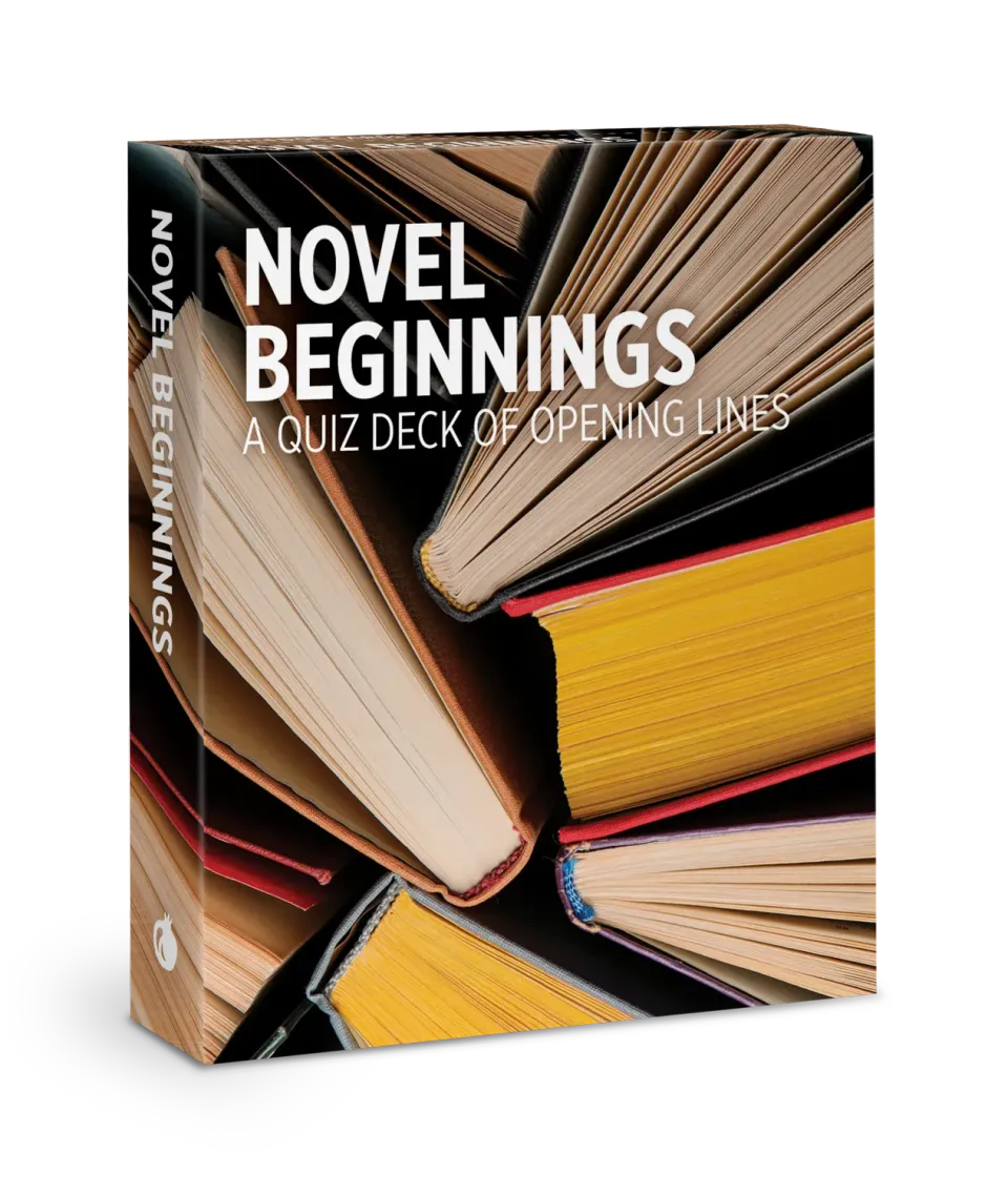 Pomegranate Novel Beginnings quizkort 48 kort