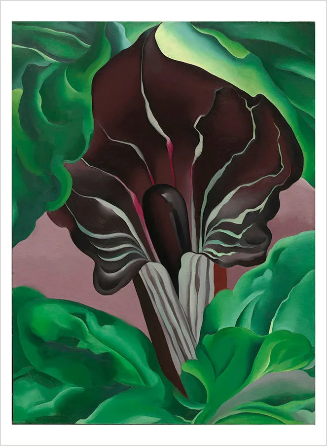 Pomegranate Georgia O’Keeffe Abstraction postkortbog 26 stk abstrakt