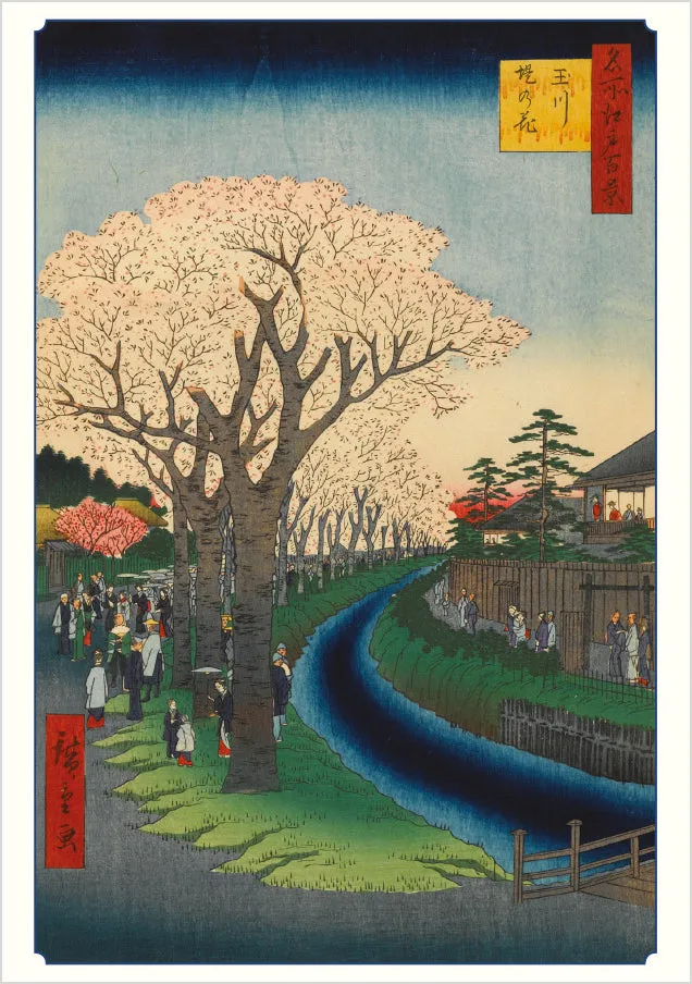 Pomegranate Hiroshige Cherry Blossoms brevkortsæt kirsebær