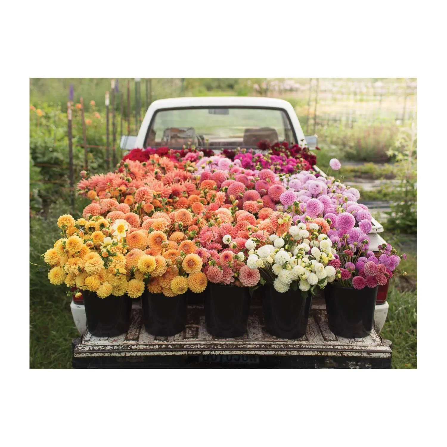 Good Puzzle Co. Cut Flower Garden puslespil 500 dobbeltsidet