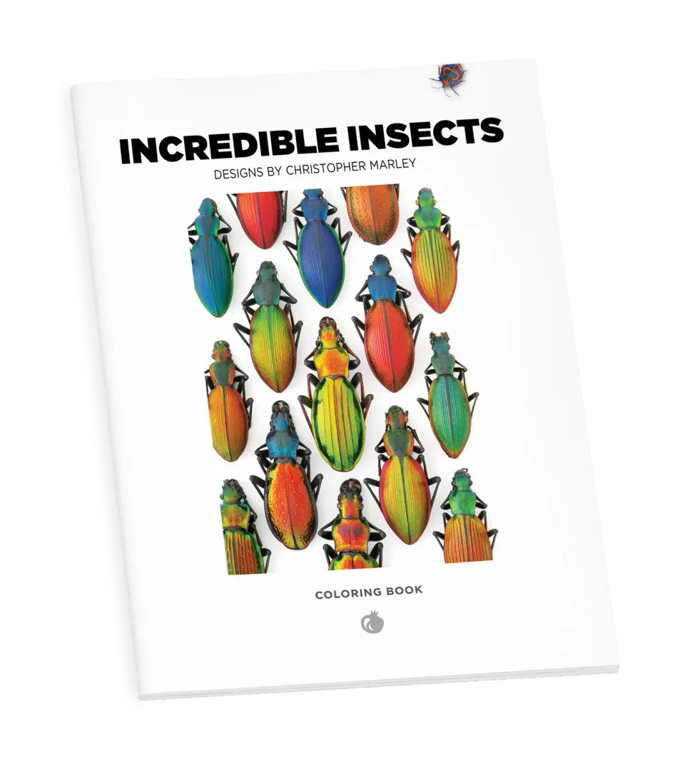 Pomegranate Incredible Insects malebog Christopher Marley