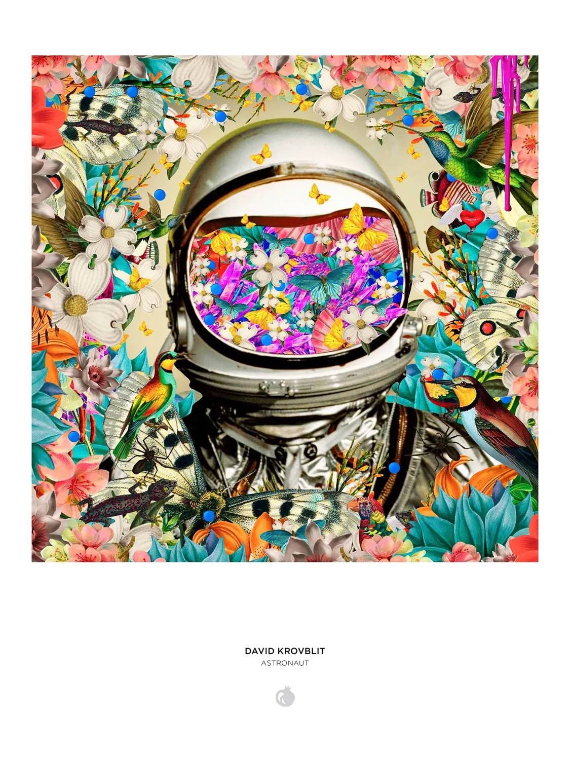 Pomegranate David Krovblit Astronaut puslespil 1000 brikker