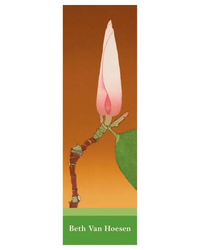 Pomegranate Magnolia Bud bogmærke blomst Beth Van Hoesen