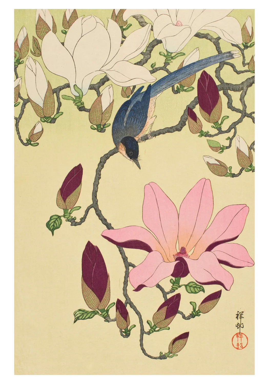 Pomegranate Ohara Shoson Magnolia and Magpie kortsæt lille æske japansk