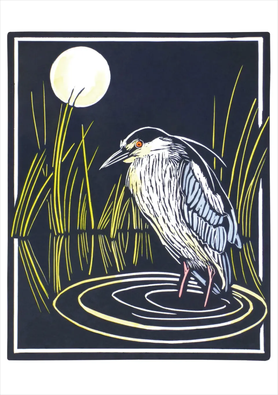 Pomegranate Molly Hashimoto Black-crowned Night Heron kort enkelt fugl