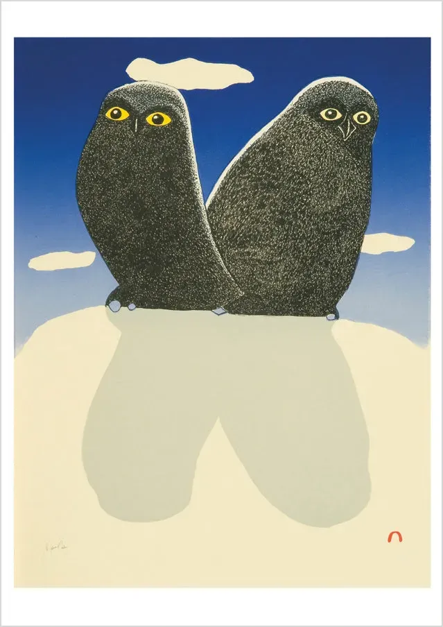 Pomegranate Kananginak Pootoogook Owls kort enkelt