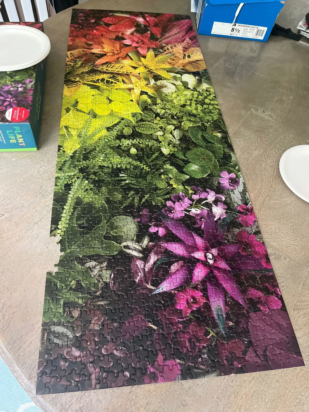 Galison Plant Life panoramapuslespil 1000 brikker planter